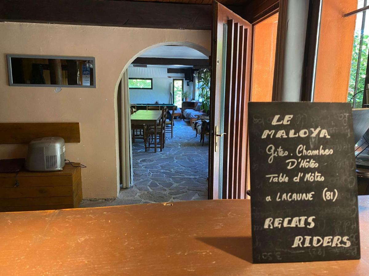 "Le Maloya" Chalets Independants -Chambre Balneo - Relais Motards Lacaune Exteriér fotografie