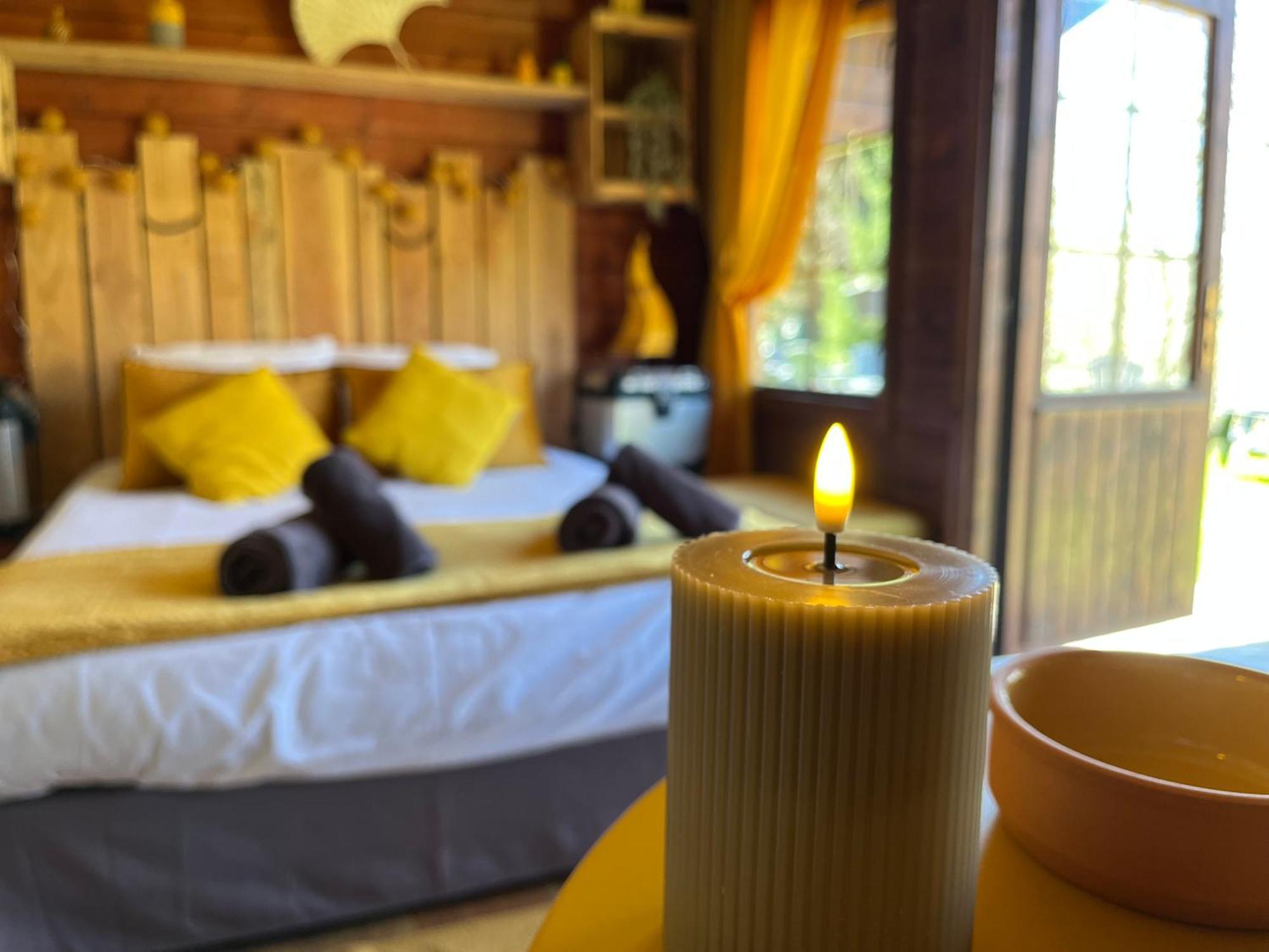 "Le Maloya" Chalets Independants -Chambre Balneo - Relais Motards Lacaune Exteriér fotografie
